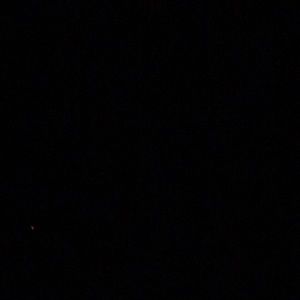 Meet your Posher, Autumn